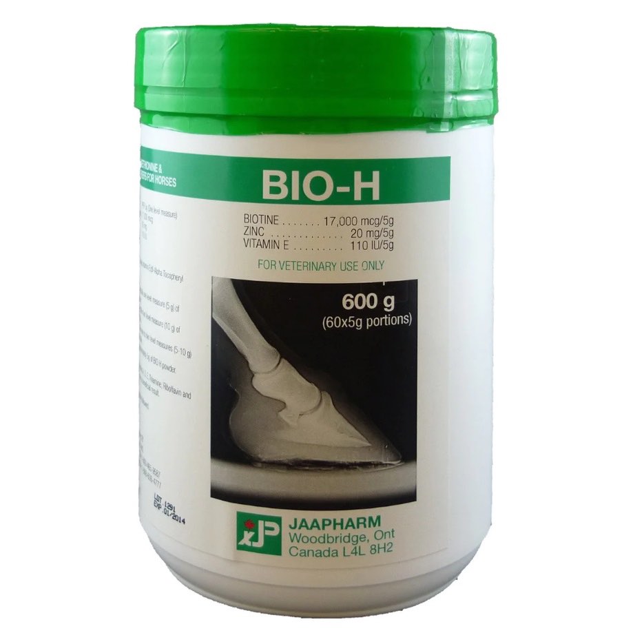 Bio H for Horses - 600 g - product image 1