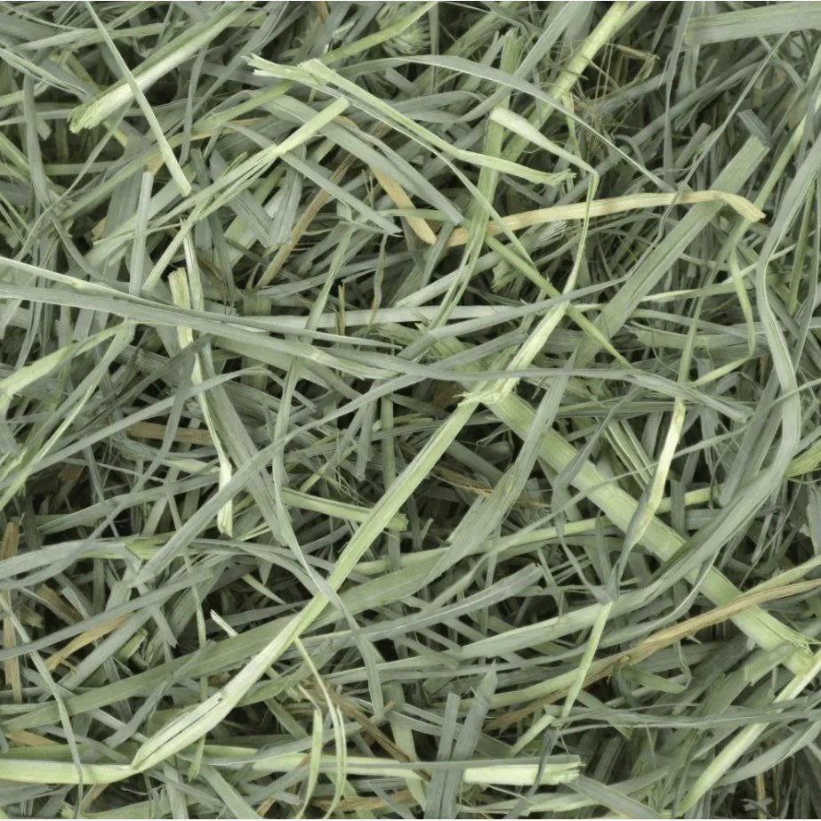 Foin Orchard Grass for Small Pets 15 Oz kg Bag - additional product view 3