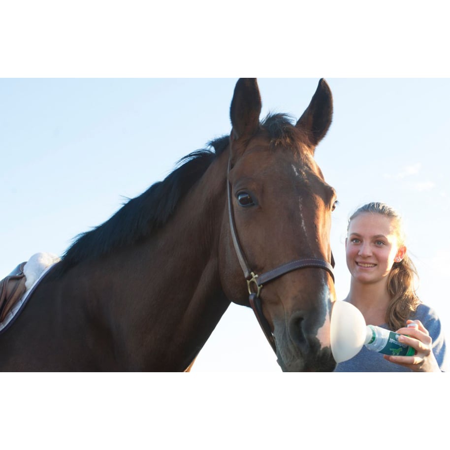 AeroHippus Inhalation Chamber for Horse for Horses 1 Unit - additional product view 3