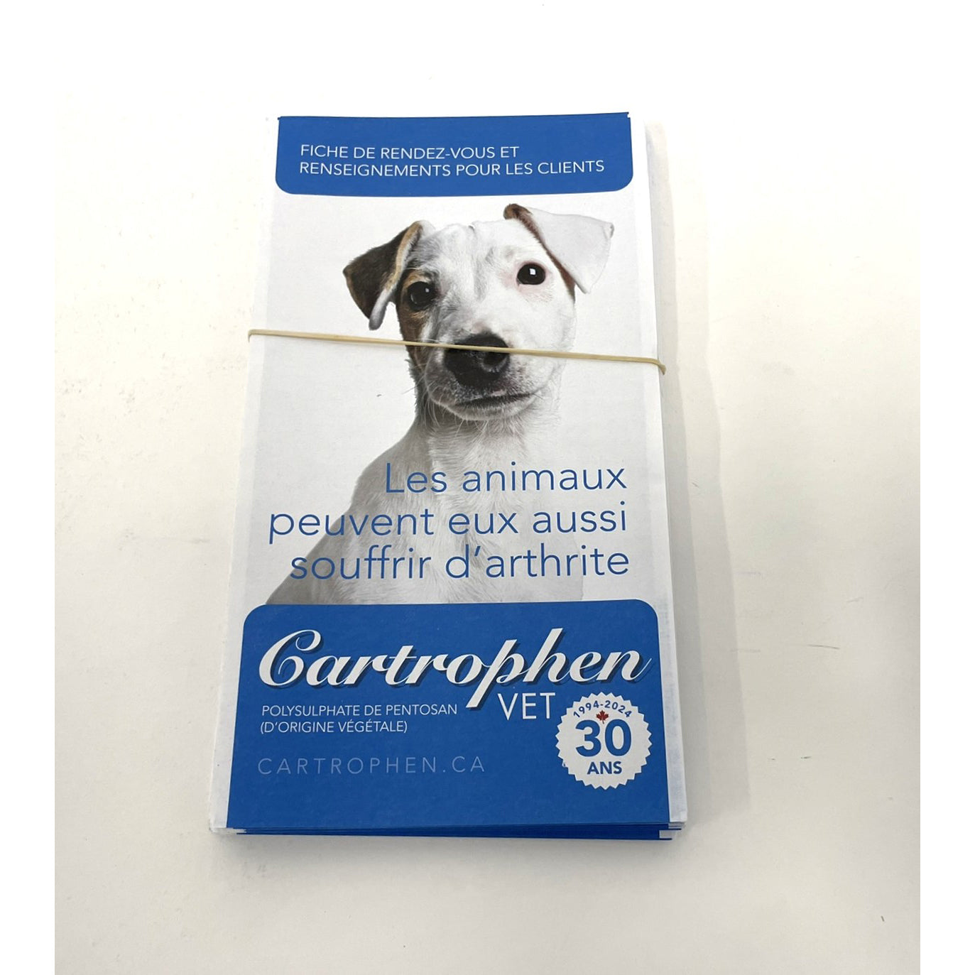 Cartrophen Appointment Cards and Client Information for Dogs, French (Pack of 25)