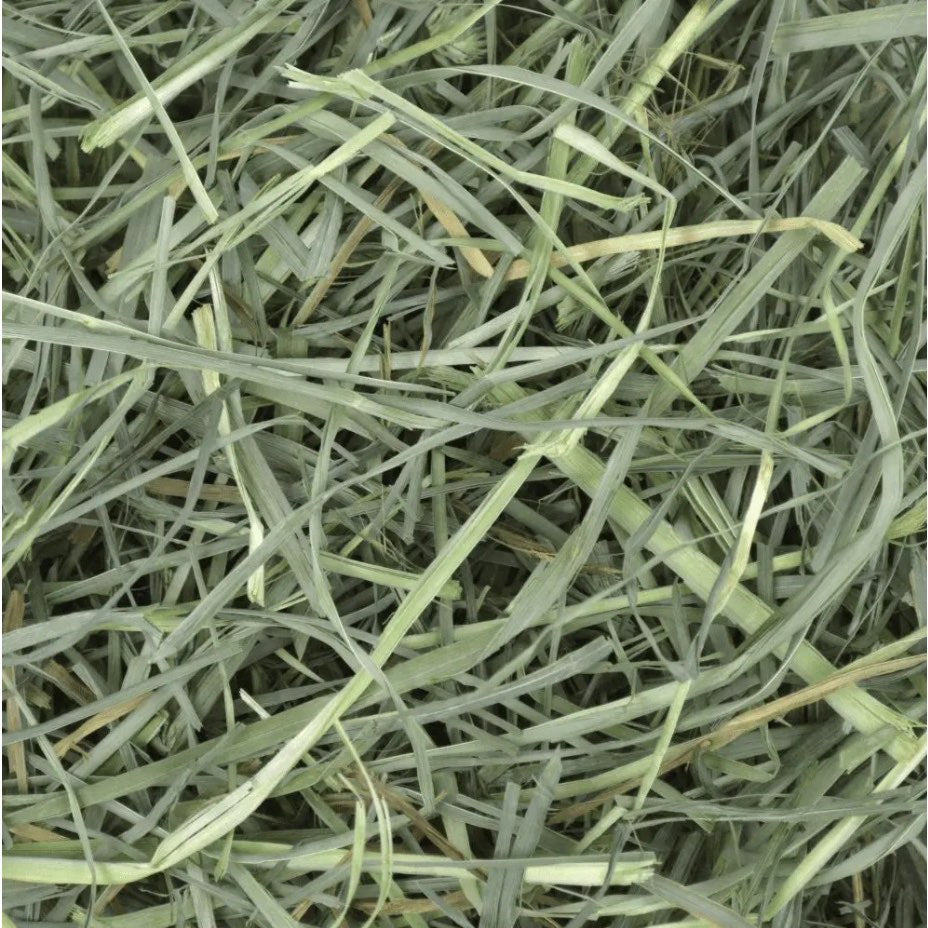 Foin Orchard Grass for Small Pets 40 Oz kg Bag - additional product view 3