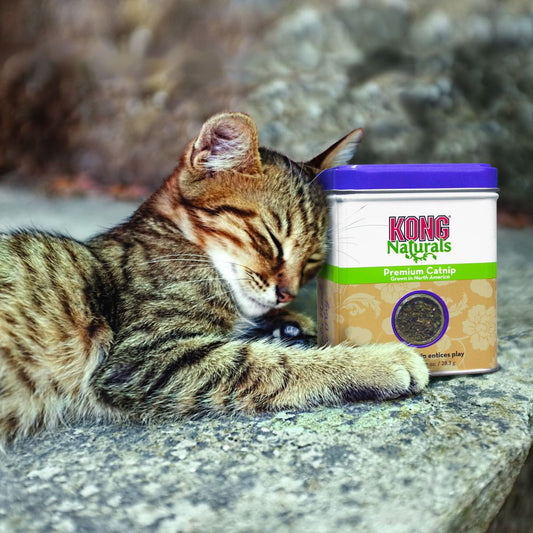 Naturals Premium Catnip for Cats 2 Oz 56.7 g Box - additional product view 2