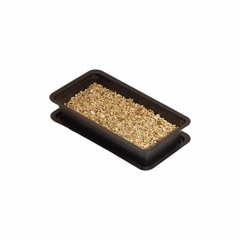 Cat Grass for Cats 85 g 1 Kit - additional product view 3
