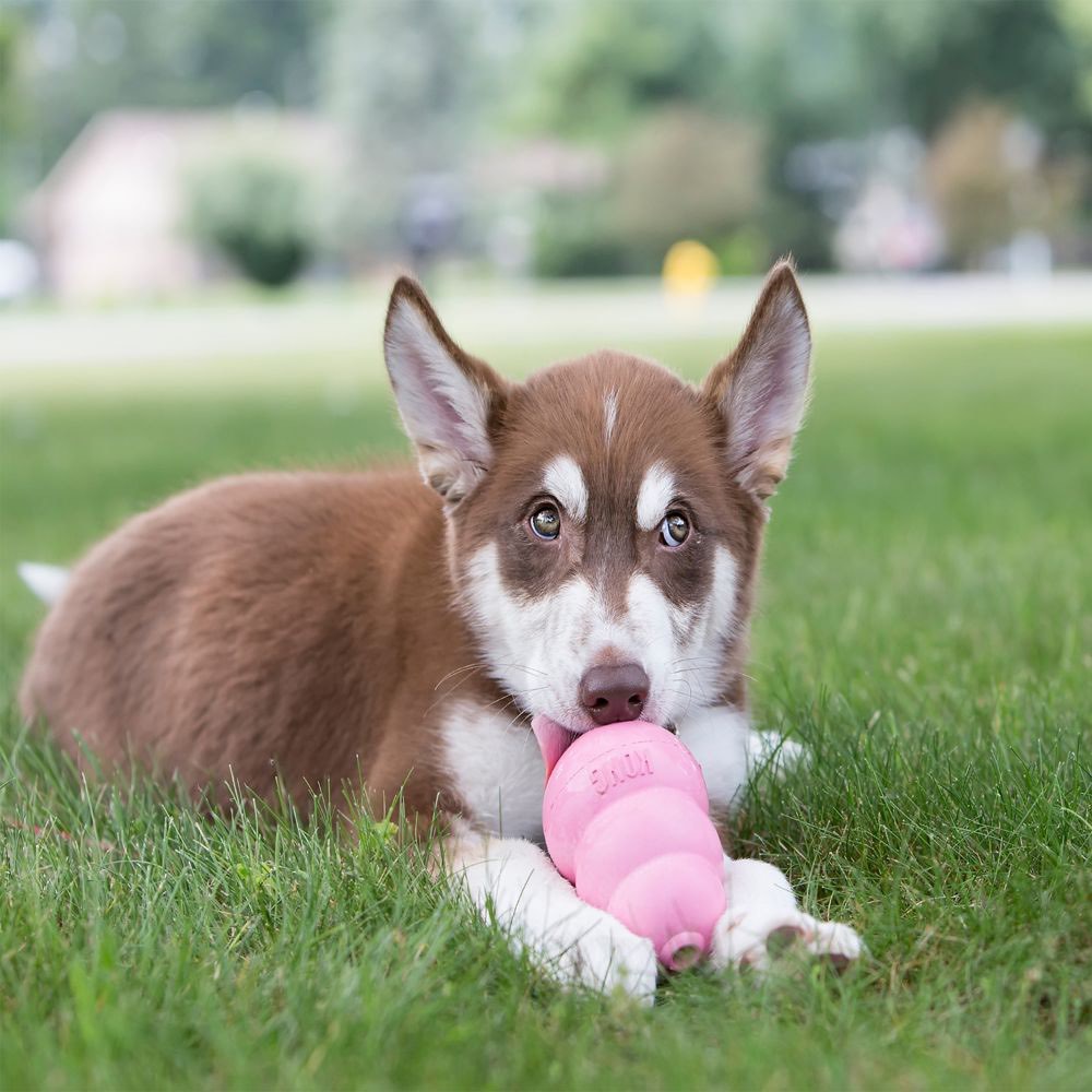 Puppy Stuffing Toy for Dogs 1 Unit, Random, Large - additional product view 3