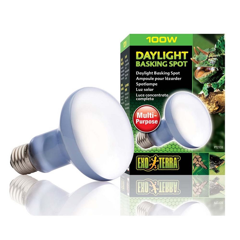 Daylight Basking Spot R25 / 100W for Exotic Pets 1 Unit