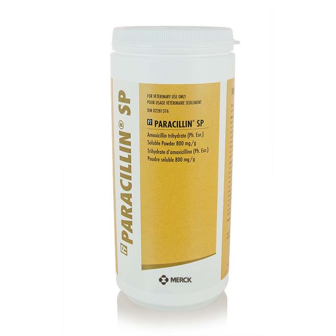 Paracillin SP Powder for Solution 1 Bottle of 1000 g