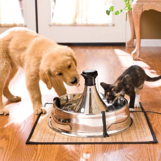 Drinkwell 360 Stainless Steel Pet Fountain 1 Unit - additional product view 3