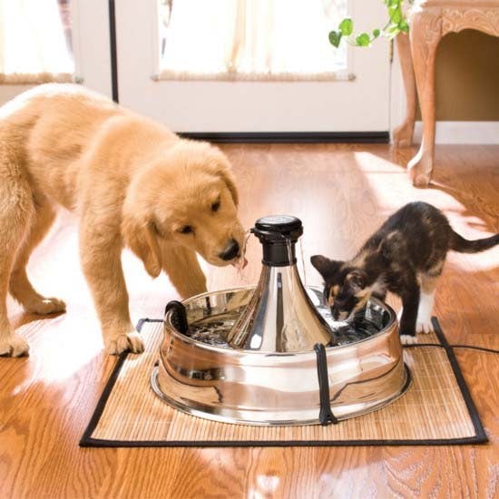 Drinkwell 360 Stainless Steel Pet Fountain 1 Unit - Default Title - product image 3