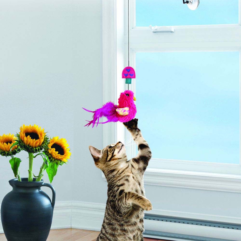 Connects Window Teaser for Cats 1 Unit - additional product view 3