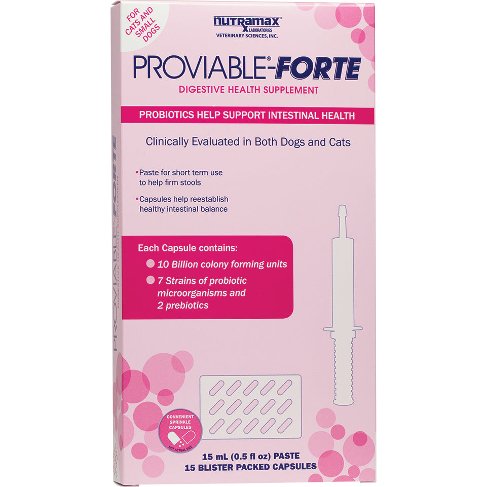 Proviable Forte Kit for Cats and Small Dogs 1 Kit 10000000000 CFU