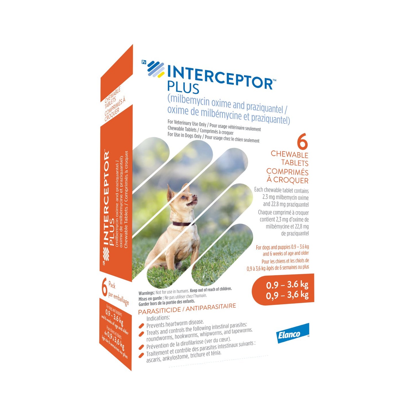 Interceptor Plus Chewable Tablets 1 Box of 6 Tablets