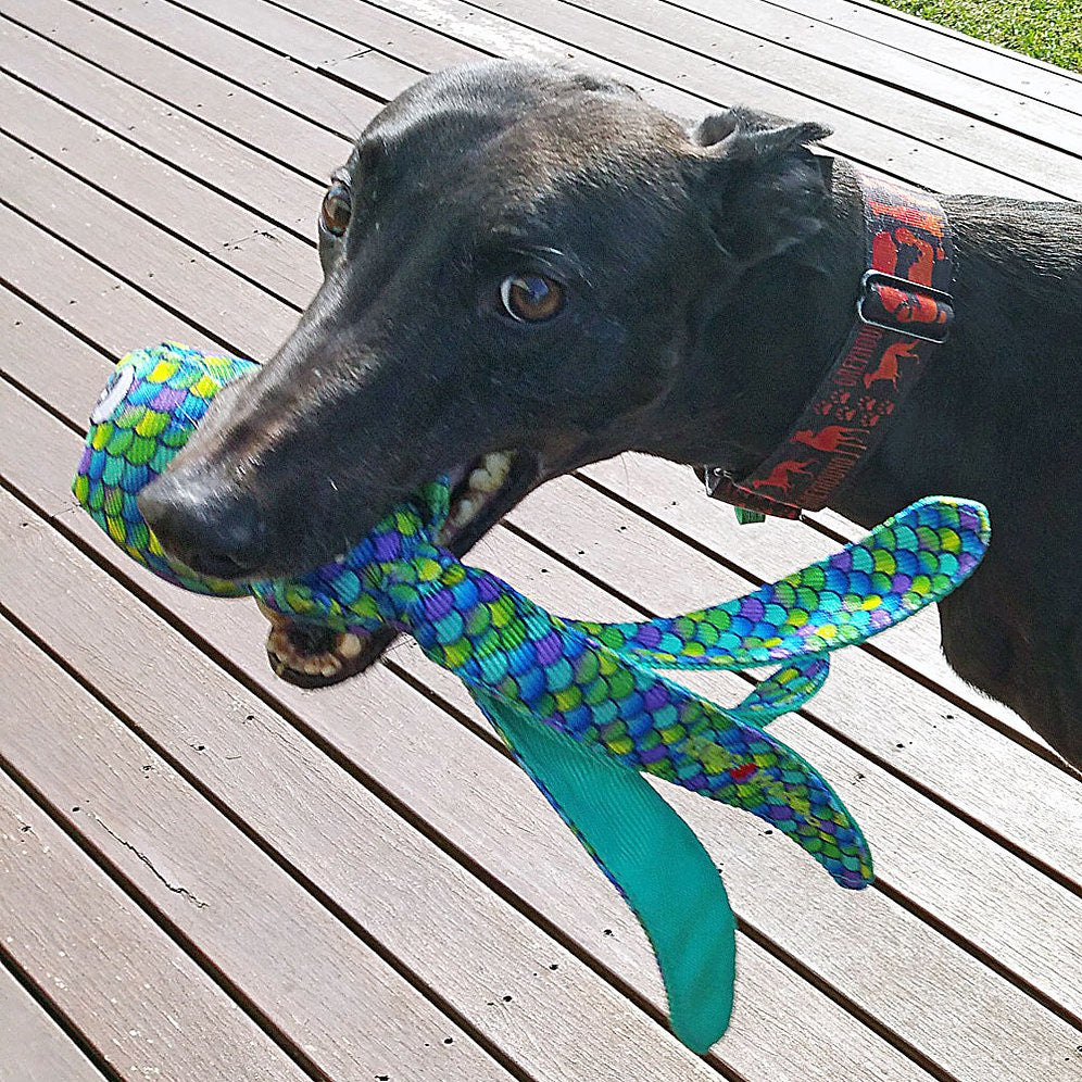 Wubba Finz for Dogs (Blue) 1 Unit, Large - additional product view 3