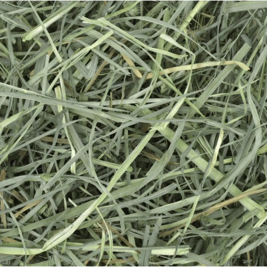 Foin Orchard Grass for Small Pets 9 lb 4.08 kg Box - additional product view 5