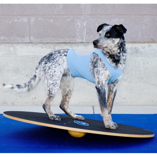Canine Conditioning Wobble Board for Dogs (20 in) 1 Unit - additional product view 2