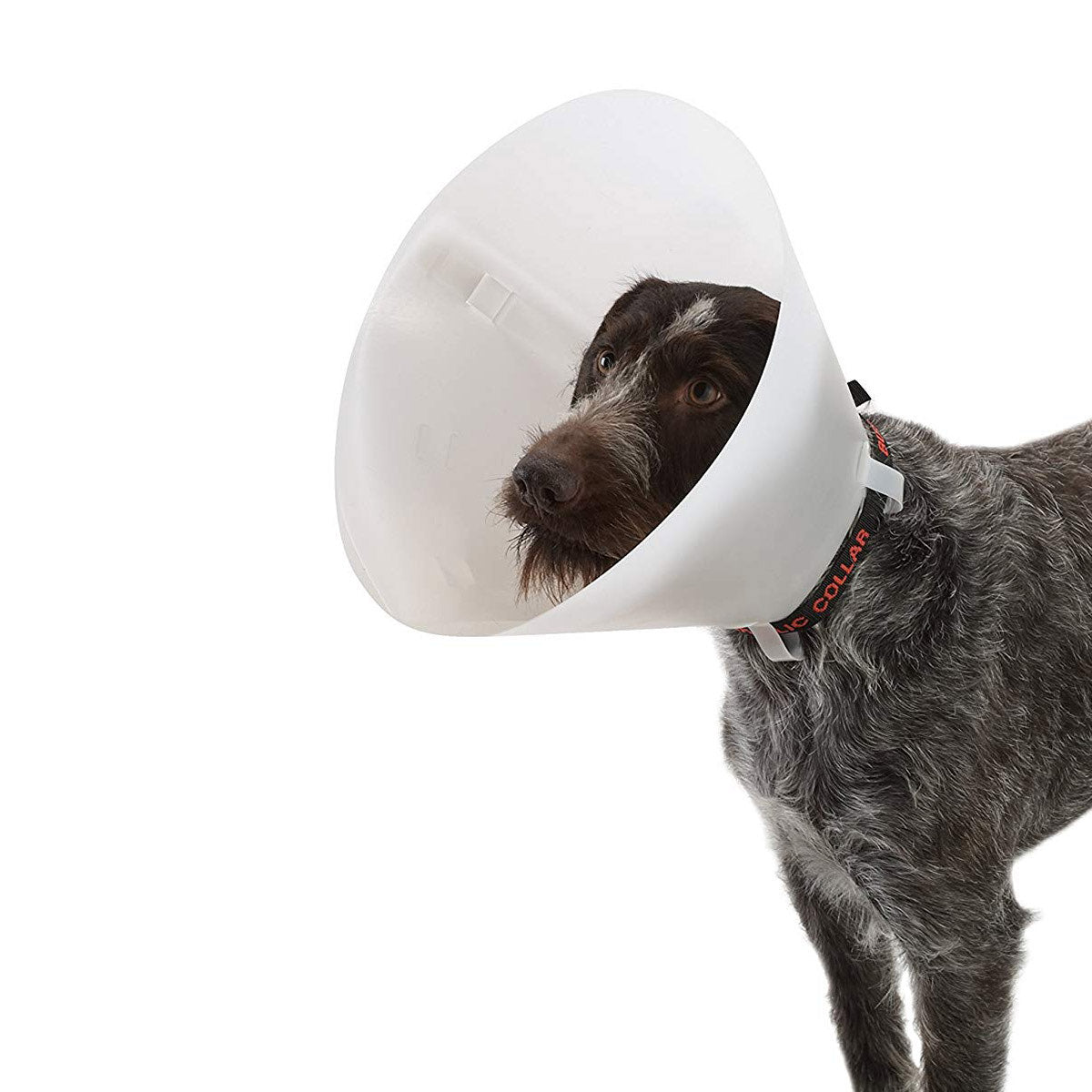 Buster Classic Collar 12.5 cm 1 Collar