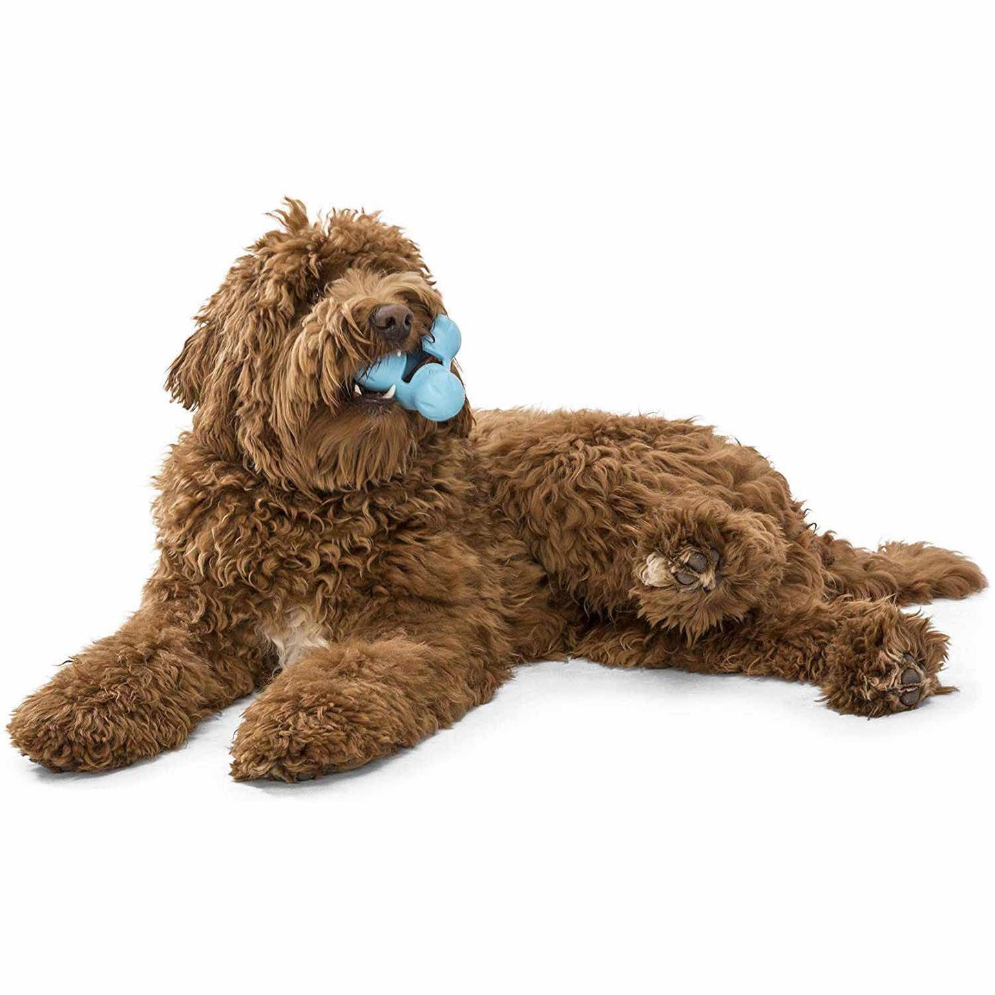 Tux Treat Toy for Dogs (Aqua) 1 Unit - additional product view 4