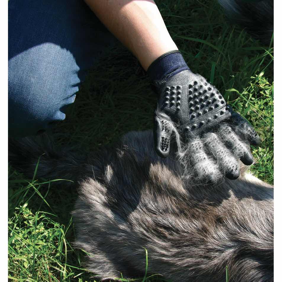 2in1 Grooming Gloves for Cats (Blue) Kit of 2 Gloves - additional product view 4