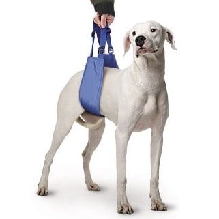 Quick - Lift for Dogs 1 Unit, Large
