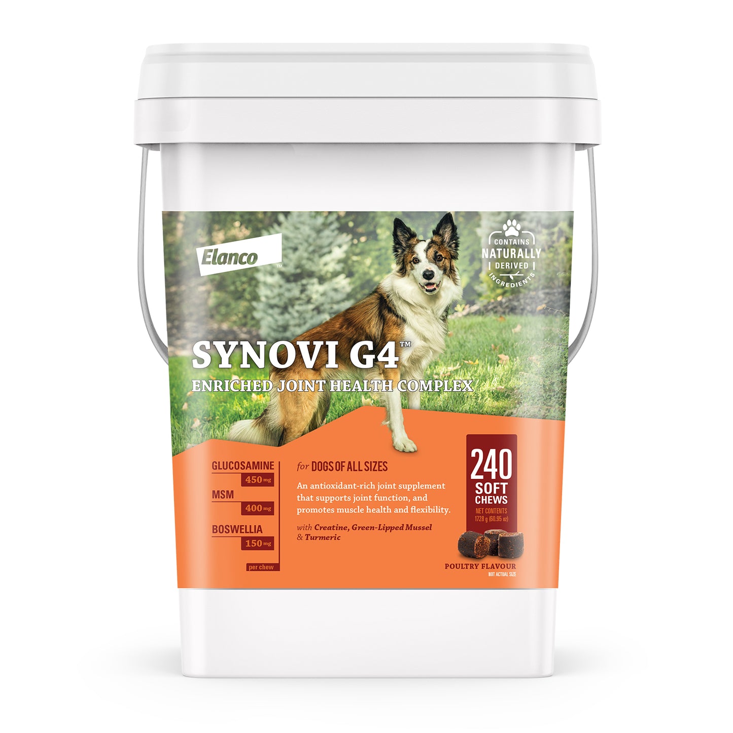 Synovi G4 for Dogs 240 Soft Chews