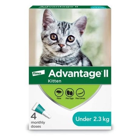 Advantage II for Cats (Aqua) (Under 2.3 kg) Pack of 4 - additional product view 2