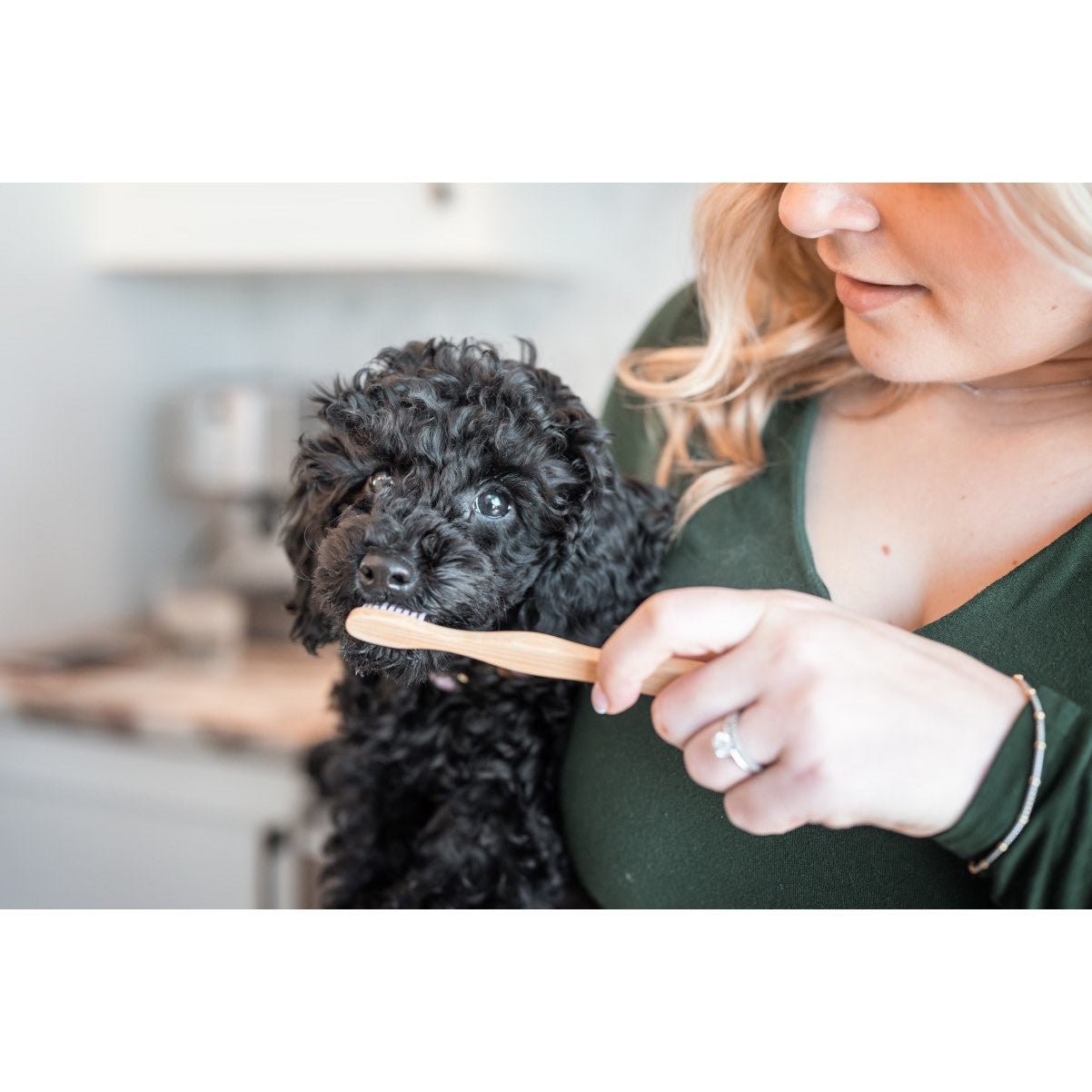 Bamboo Toothbrush for Pets 1 Toothbrush - additional product view 2