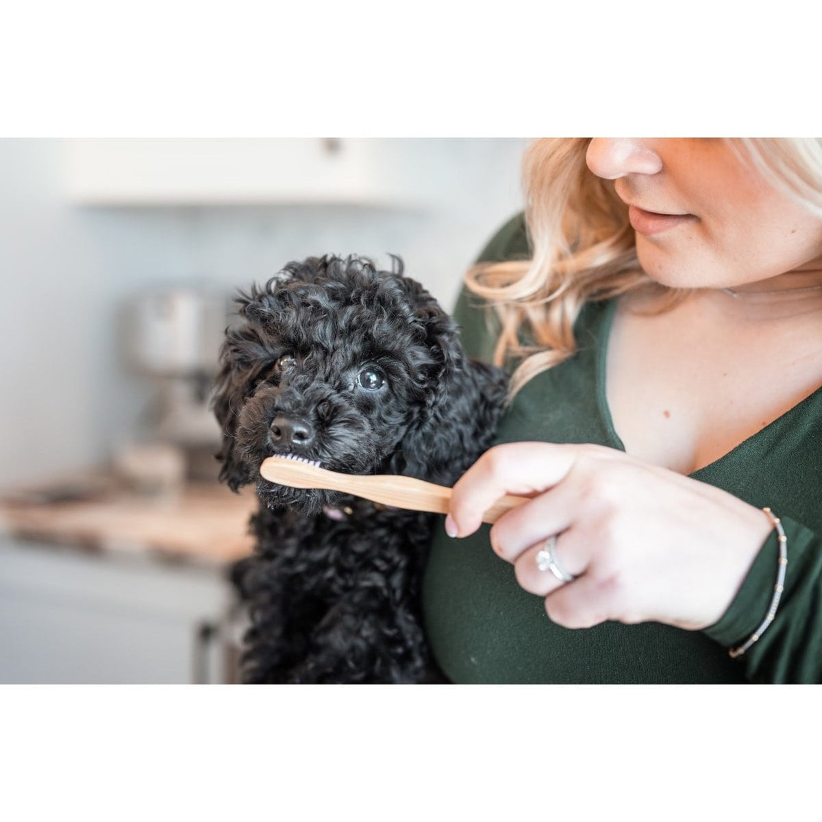 Bamboo Toothbrush for Pets 1 Toothbrush - Default Title - product image 2