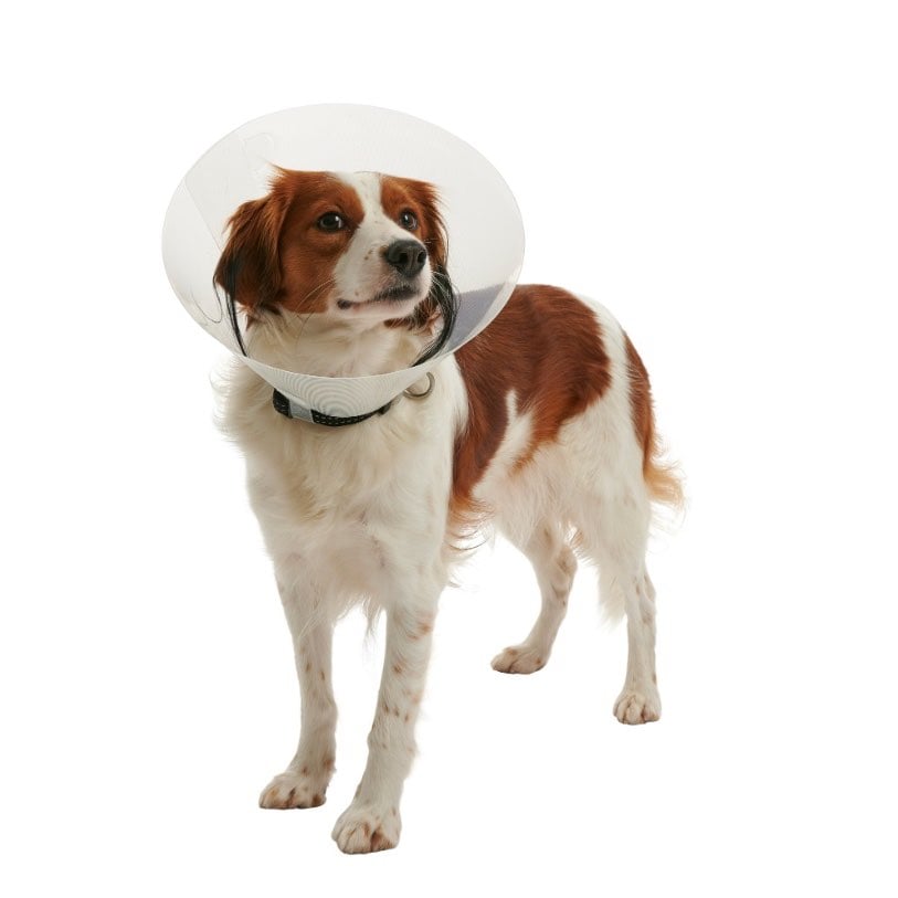 Buster Clic Collar 35 cm 1 Collar - additional product view 2