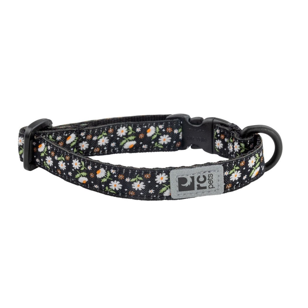 Primary Breakaway Collar for Cats 1 Collar, Daisies, One Size