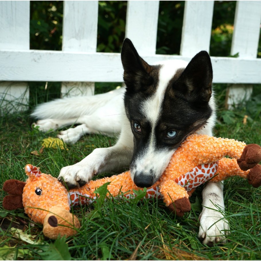 Shakers Luvs Plush for Dogs 1 Plush, Giraffe, Small - additional product view 3
