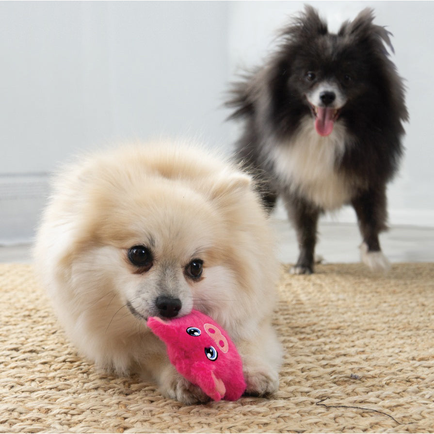 KONG Snuzzles Kiddos Pig Plush for Dogs, Extra Small - additional product view 3