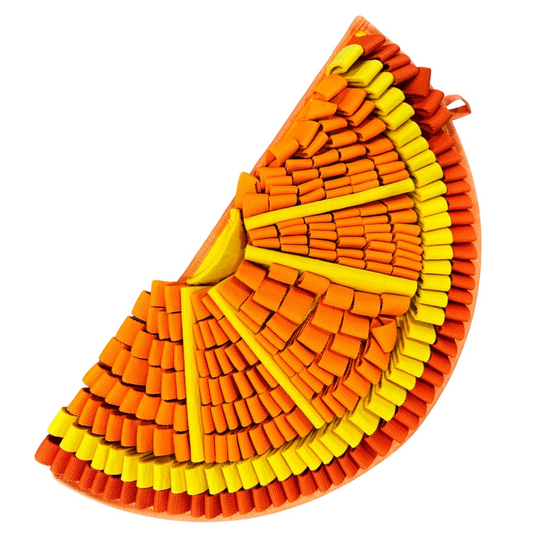 Snuffle Mat PawzNDogz Level 2 for Dogs (Orange) 1 Unit