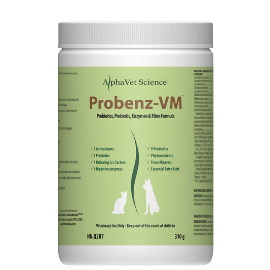 Probenz - VM Powder (Original) 310 g Jar - additional product view 2