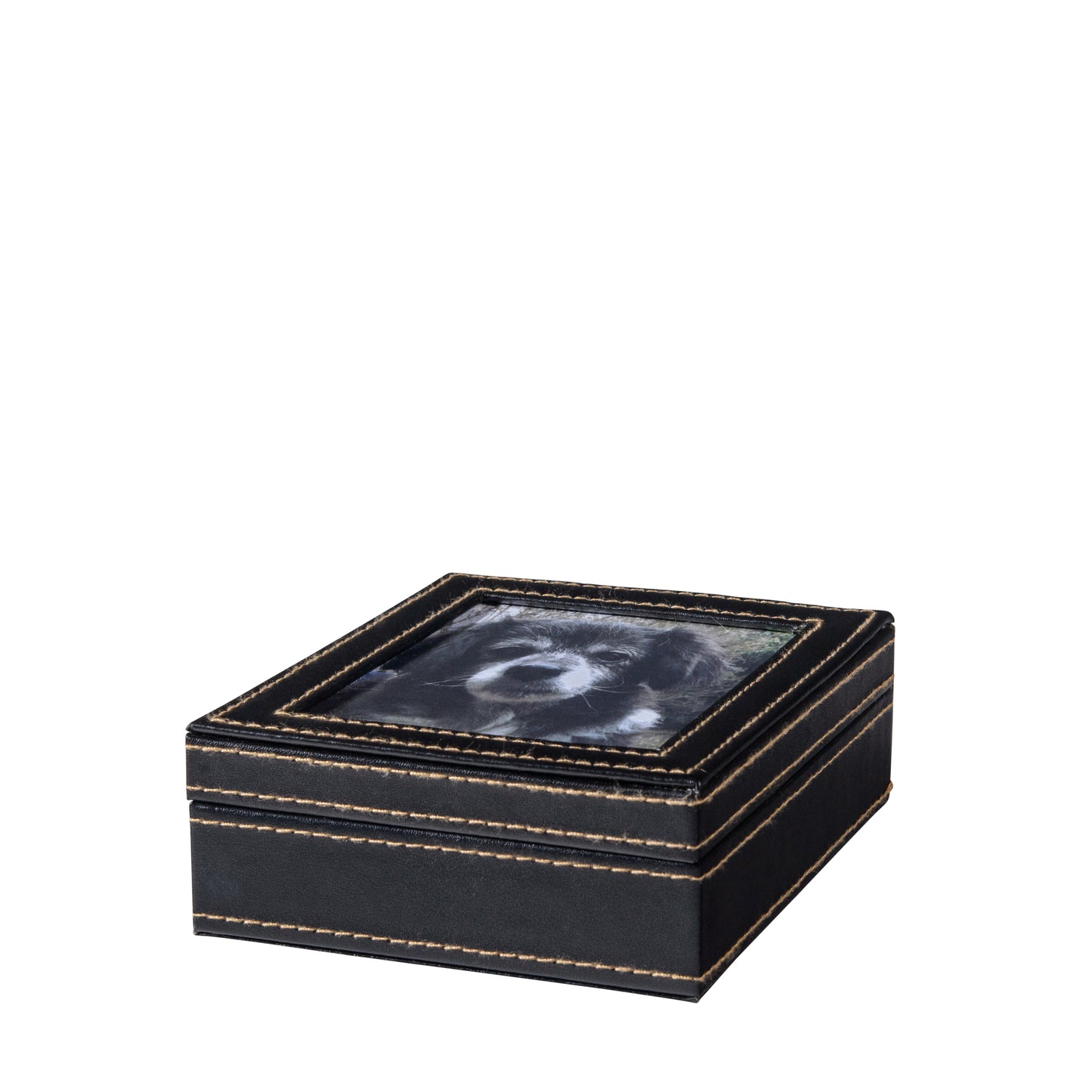 Paw Print with Clay in Leather Kit 1 Unit - additional product view 4