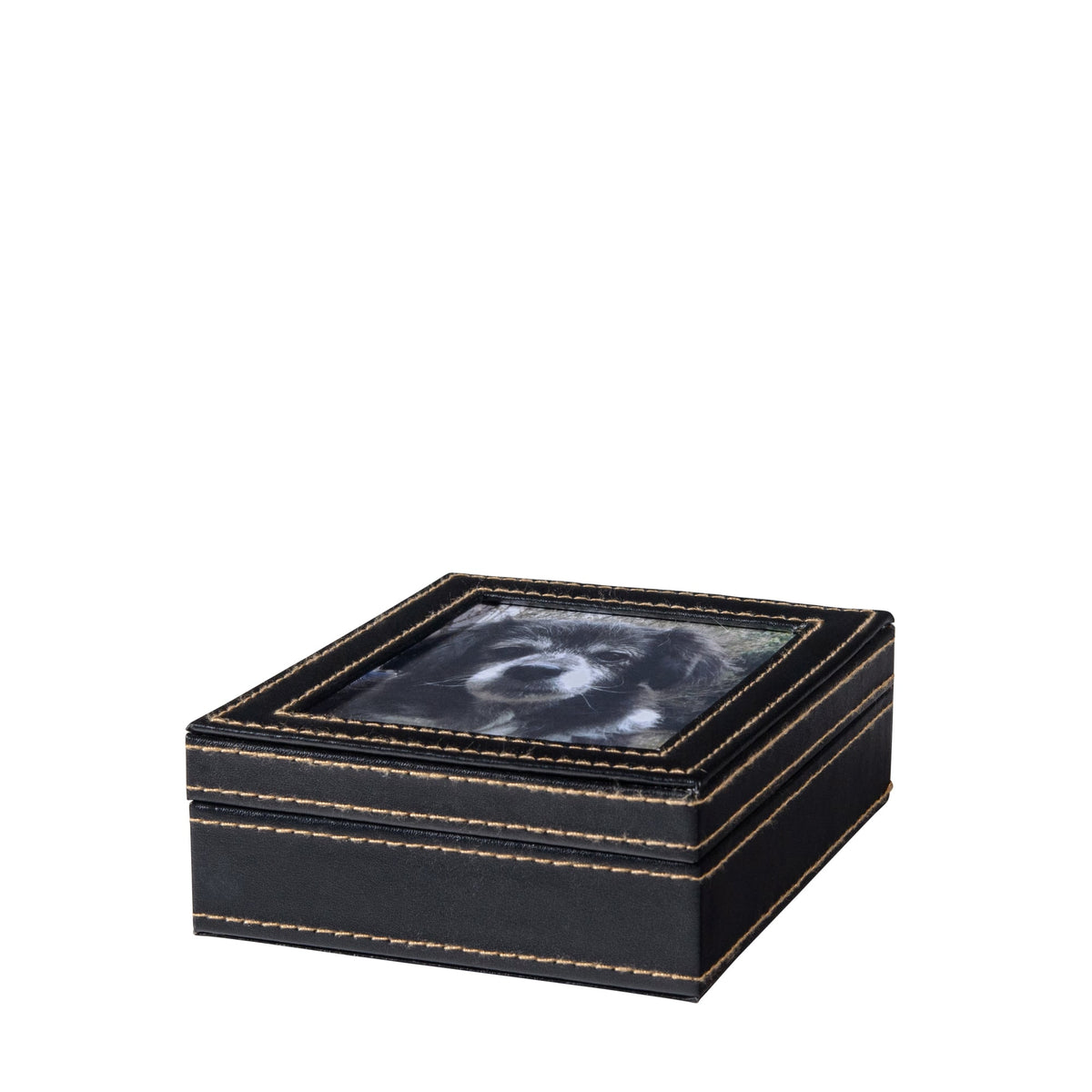 Paw Print with Clay in Leather Kit 1 Unit - Default Title - product image 4