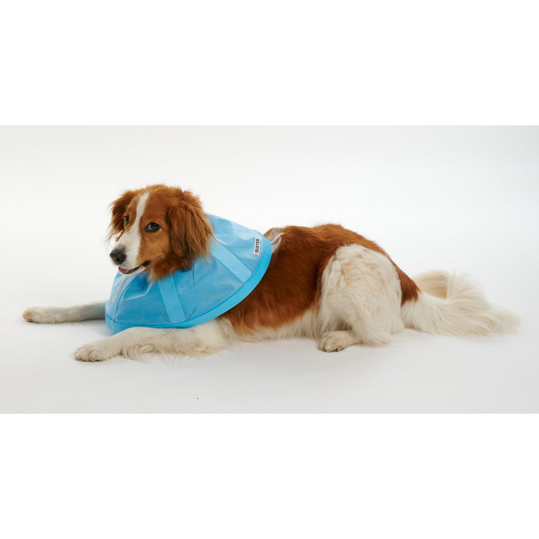 Buster Soft Flex Collar (Blue) 25 cm 1 Collar - additional product view 4