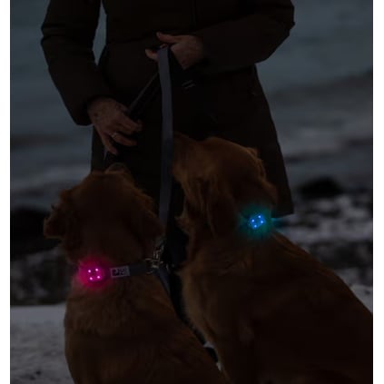 LED Light Nova for Dogs 1 Unit - Default Title - product image 4