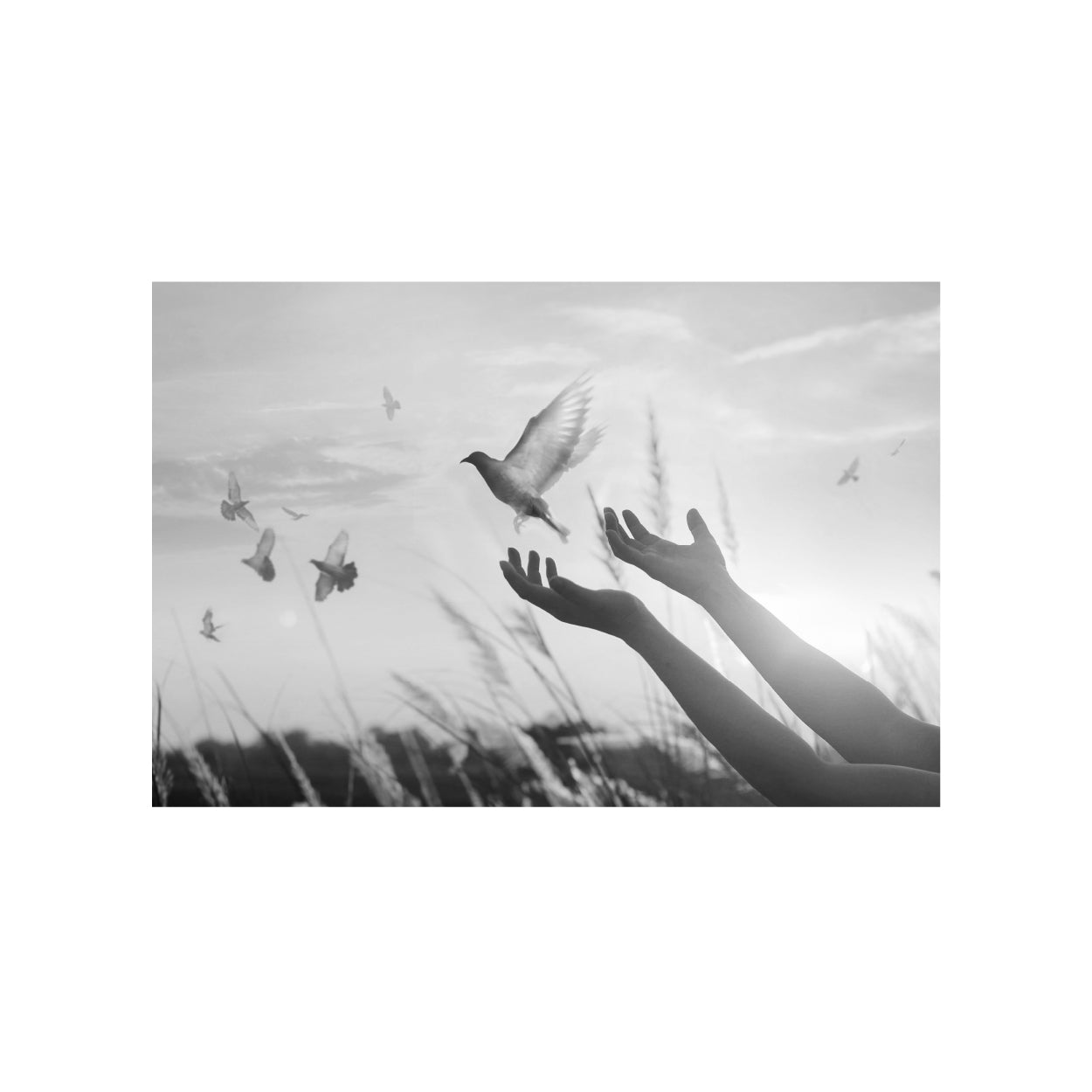 Sympathy Cards, Light and Shadow (Pack of 25) - additional product view 5