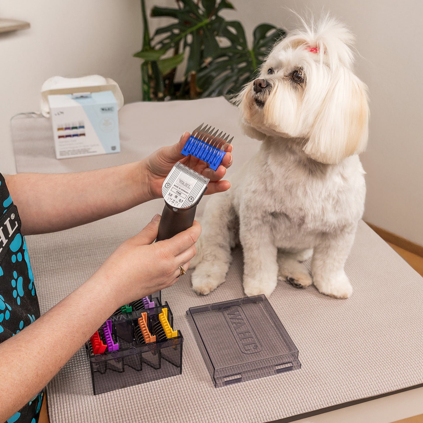 Attachment Combs S / S with Organizer for 5 - in - 1 Blade 1 Set - additional product view 5