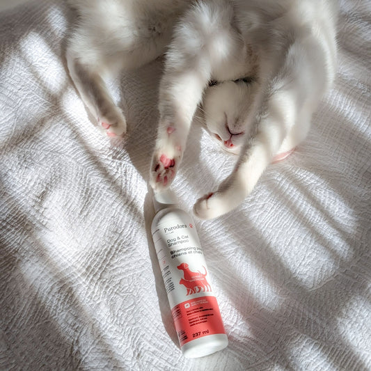 Shampoo No - Rinse for Cats and Dogs 237 mL Bottle - additional product view 2