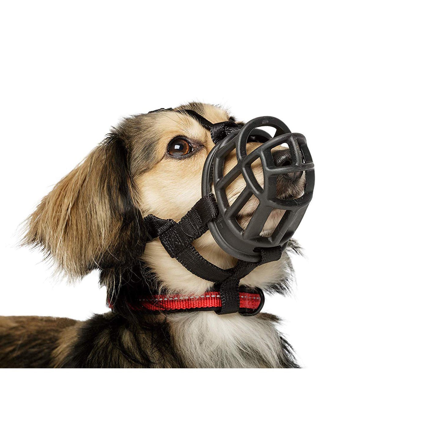 Ultra Muzzle for Dogs 1 Muzzle - additional product view 3