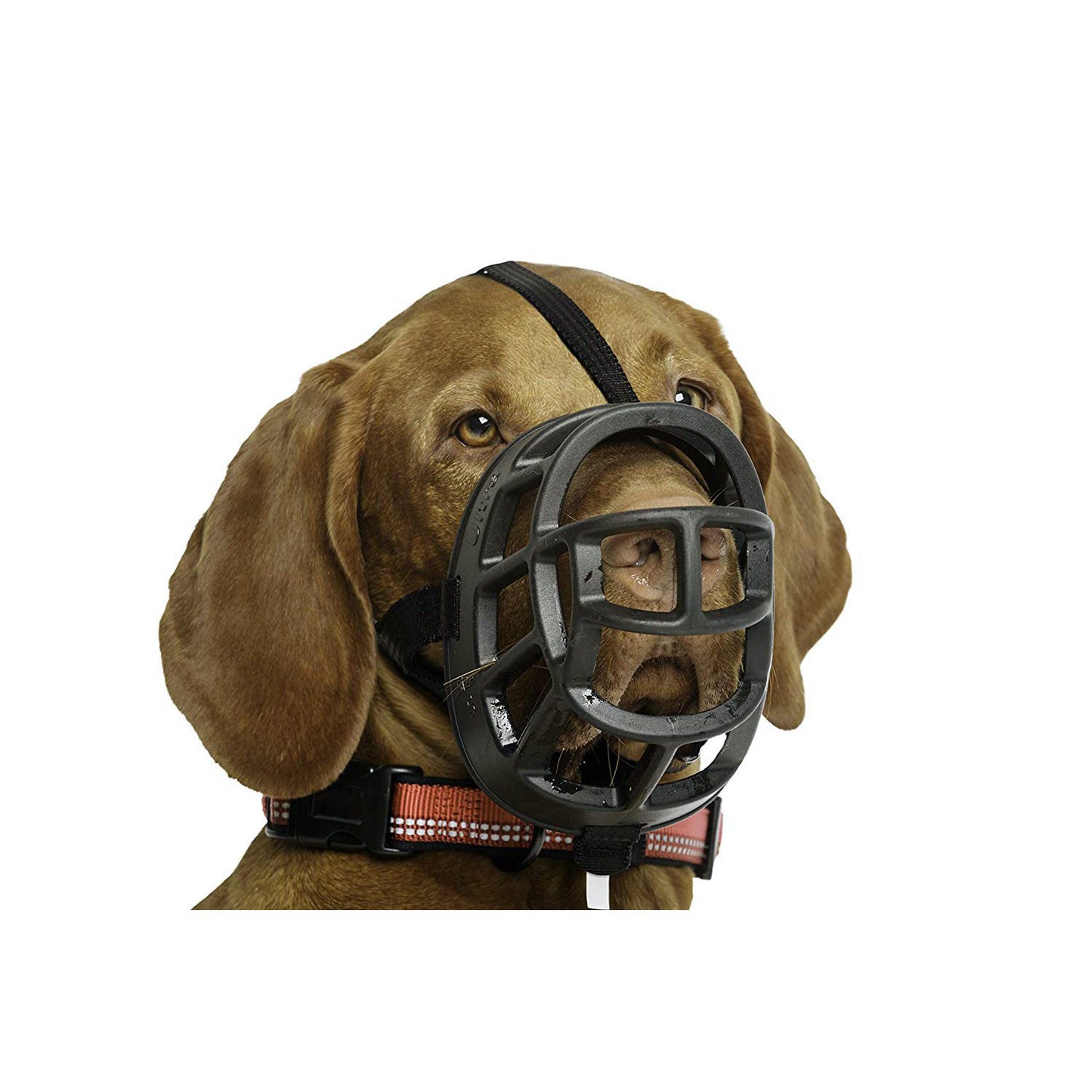 Ultra Muzzle for Dogs 1 Muzzle, Black, 4 - additional product view 3