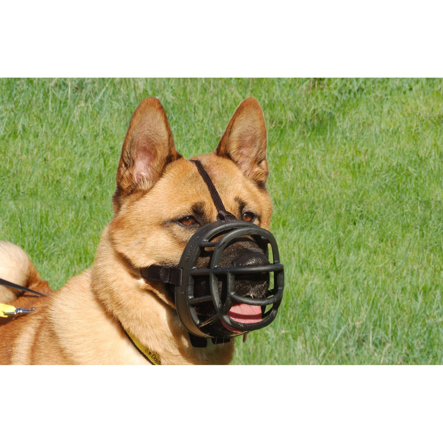 Ultra Muzzle for Dogs 1 Muzzle, Black, 6 - additional product view 3