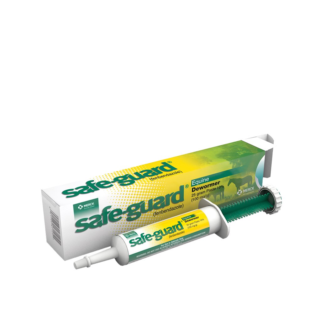 Safe - Guard Paste 12 Oral Syringes of 25 g Per Box