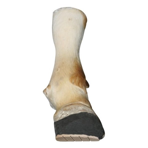 Technovit 6091 Wood Support Pack of 5 - additional product view 2