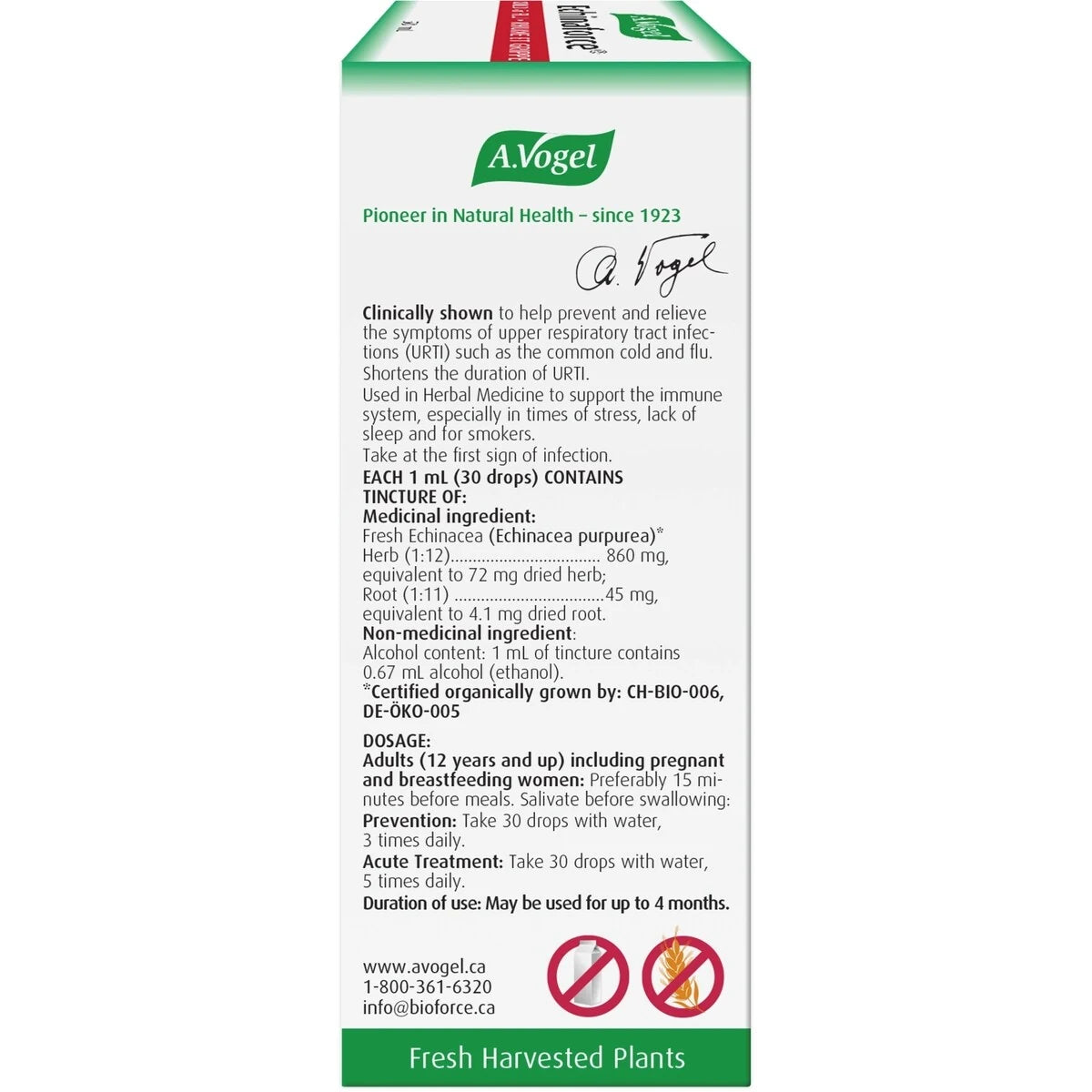 A Vogel Echinaforce Immune Support for cold and flu product detail