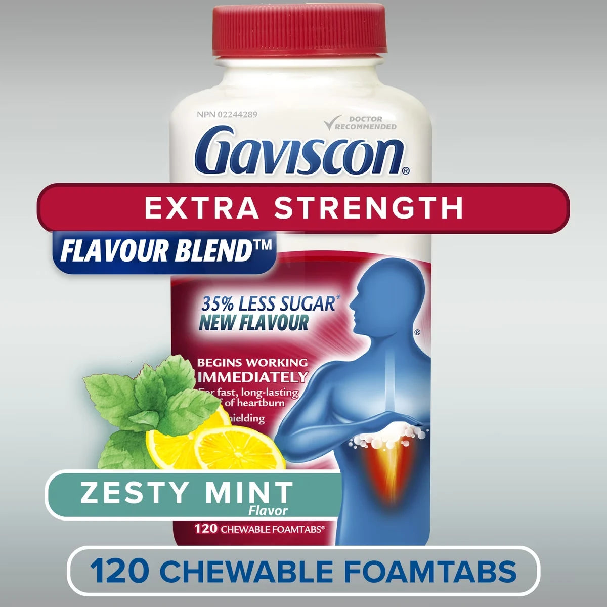 Gaviscon Extra Strength Flavour BlendTM Zesty MintTM Tablet product detail