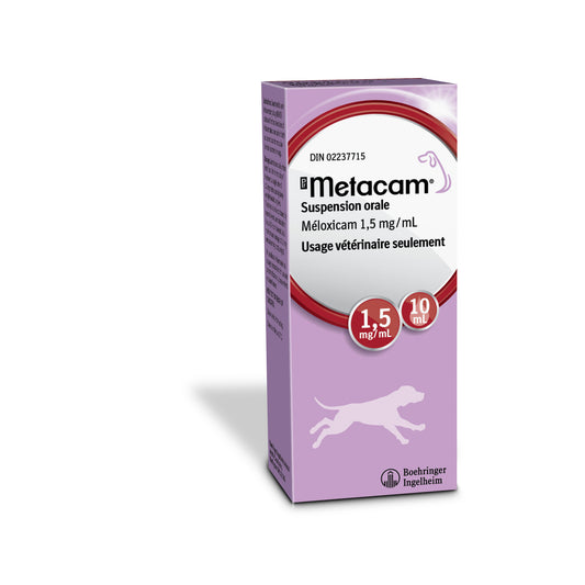 Metacam Dog Oral Suspension 1 Bottle of 10 mL