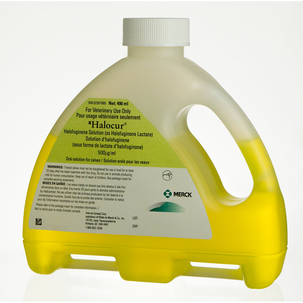 Halocur Solution 1 Bottle of 490 mL