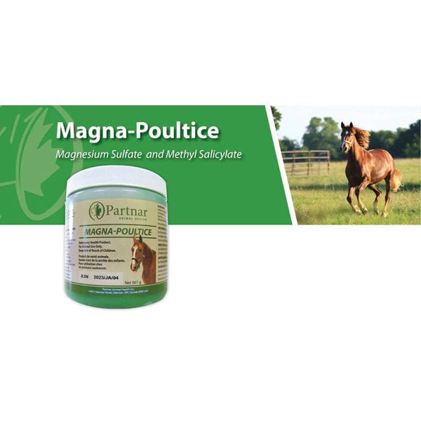 Magna - Poultice 567 g Jar - additional product view 2
