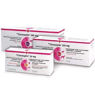 Clavaseptin Chewable Tablets for Dogs 1 Box of 100 Tablets